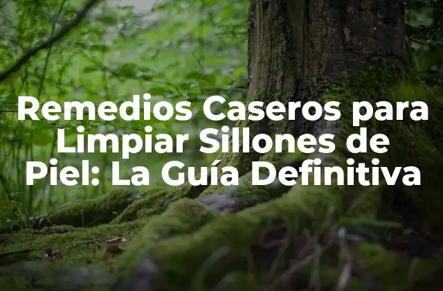 Remedios Caseros para Limpiar Sillones de Piel: la Guía Definitiva