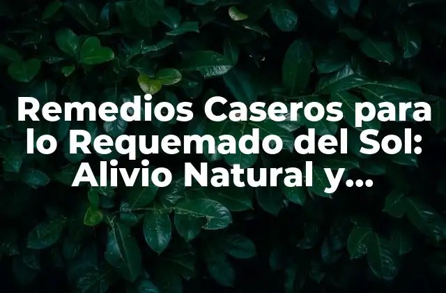 Remedios Caseros para Lo Requemado Del Sol: Alivio Natural y Efectivo