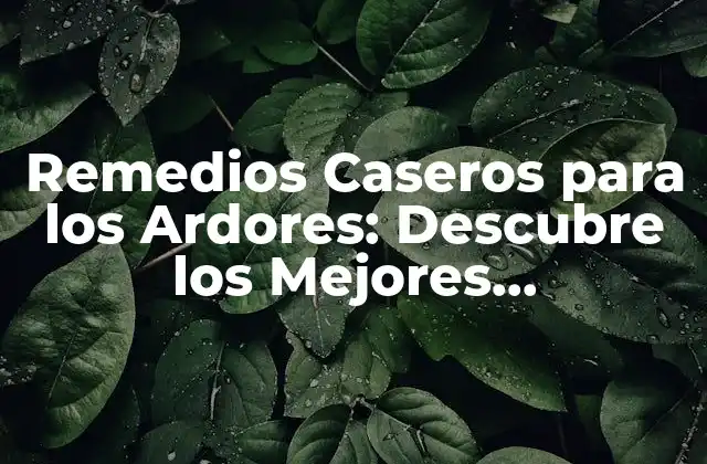 Remedios Caseros para los Ardores: Descubre los Mejores Tratamientos Naturales