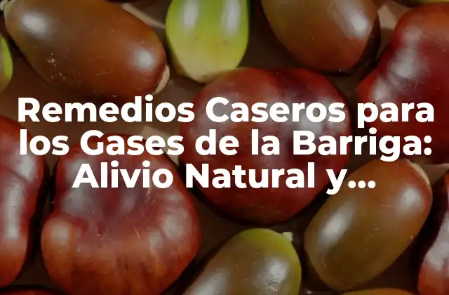 Remedios Caseros para los Gases de la Barriga: Alivio Natural y Efectivo