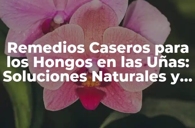 Remedios Caseros para los Hongos en las Uñas: Soluciones Naturales y Efectivas