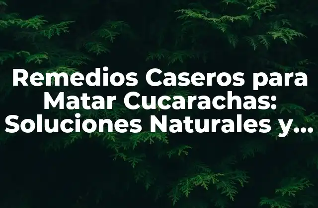 Remedios Caseros para Matar Cucarachas: Soluciones Naturales y Efectivas