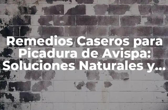 Remedios Caseros para Picadura de Avispa: Soluciones Naturales y Efectivas