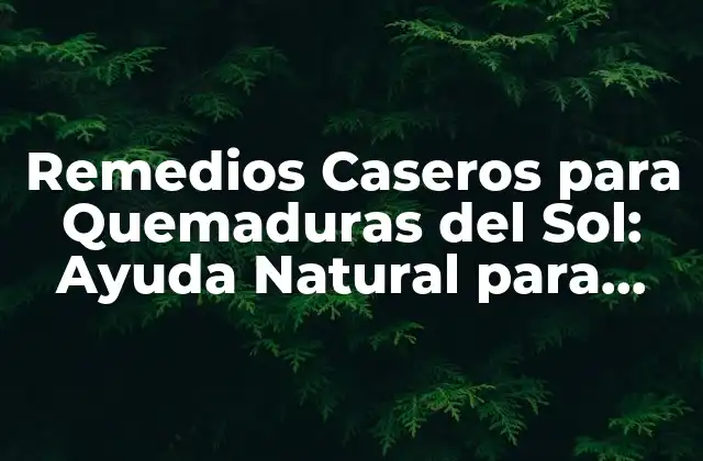 Remedios Caseros para Quemaduras Del Sol: Ayuda Natural para Aliviar el Dolor
