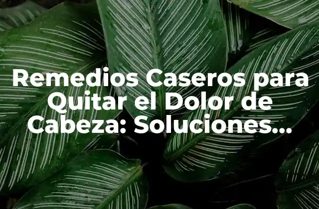 Remedios Caseros para Quitar el Dolor de Cabeza: Soluciones Naturales y Efectivas