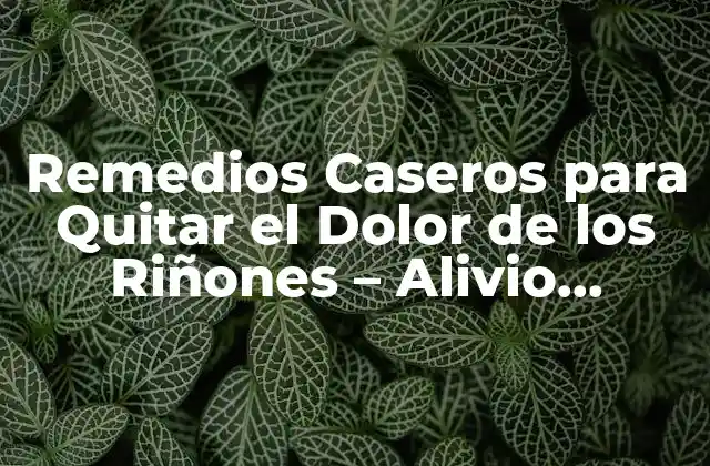 Remedios Caseros para Quitar el Dolor de los Riñones – Alivio Natural y Efectivo