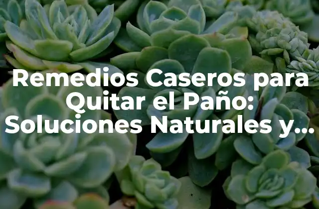 Remedios Caseros para Quitar el Paño: Soluciones Naturales y Efectivas