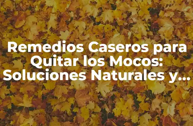 Remedios Caseros para Quitar los Mocos: Soluciones Naturales y Efectivas