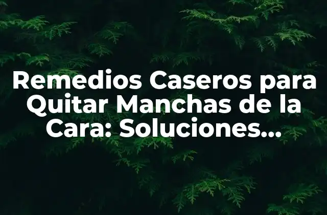 Remedios Caseros para Quitar Manchas de la Cara: Soluciones Naturales y Efectivas