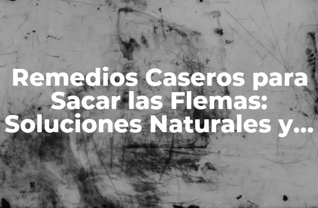 Remedios Caseros para Sacar las Flemas: Soluciones Naturales y Efectivas 2 ¿Qué Son las Flemas y Cómo se Forman?