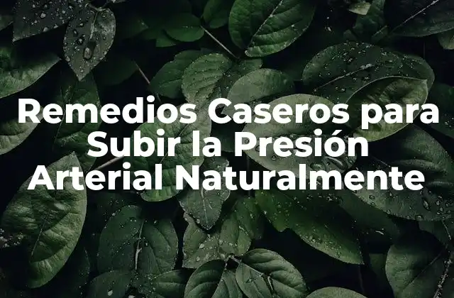 Remedios Caseros para Subir la Presión Arterial Naturalmente