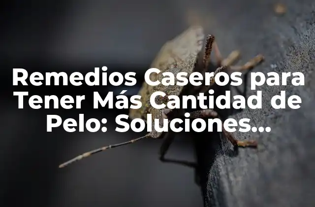 Remedios Caseros para Tener Más Cantidad de Pelo: Soluciones Naturales para el Crecimiento Del Cabello