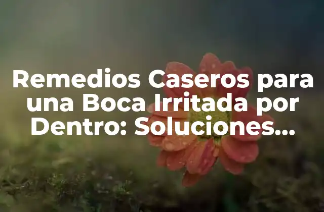Remedios Caseros para una Boca Irritada por Dentro: Soluciones Naturales