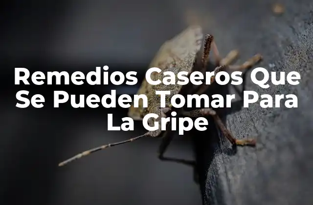 Remedios Caseros que Se Pueden Tomar para la Gripe 2 ¿Qué Es La Gripe y Cómo Se Propaga?