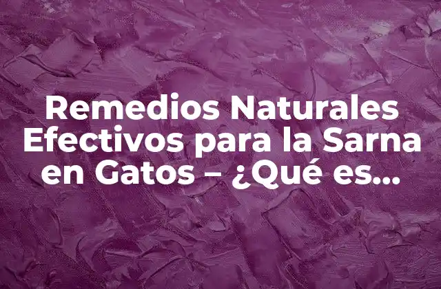 Remedios Naturales Efectivos para la Sarna en Gatos – ¿qué es Bueno para la Sarna en Gatos?