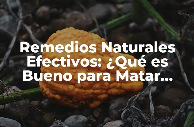 Borato de Sodio: Un Insecticida Natural