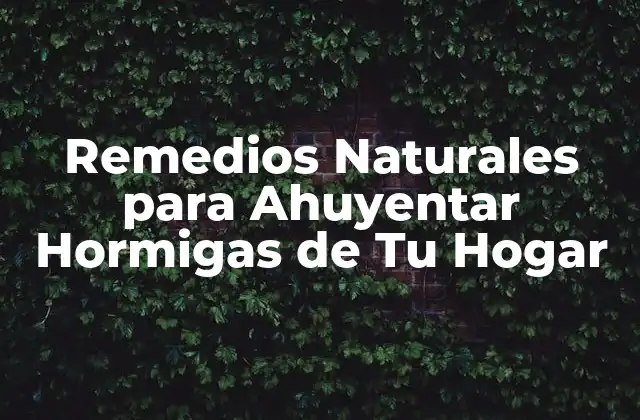 Remedios Naturales para Ahuyentar Hormigas de Tu Hogar