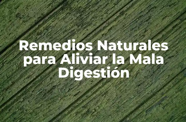 Remedios Naturales para Aliviar la Mala Digestión