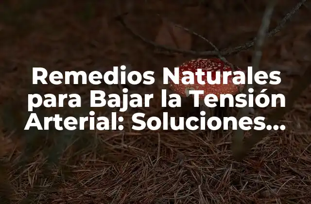 Remedios Naturales para Bajar la Tensión Arterial: Soluciones Efectivas 2 ¿Cómo Funcionan los Remedios Naturales para Bajar la Tensión?