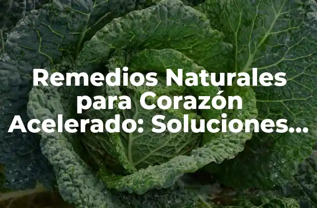 Remedios Naturales para Corazón Acelerado: Soluciones Efectivas sin Medicamentos