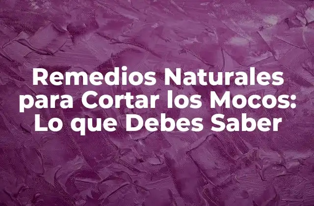 Remedios Naturales para Cortar los Mocos: Lo que Debes Saber
