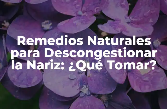 Remedios Naturales para Descongestionar la Nariz: ¿qué Tomar?