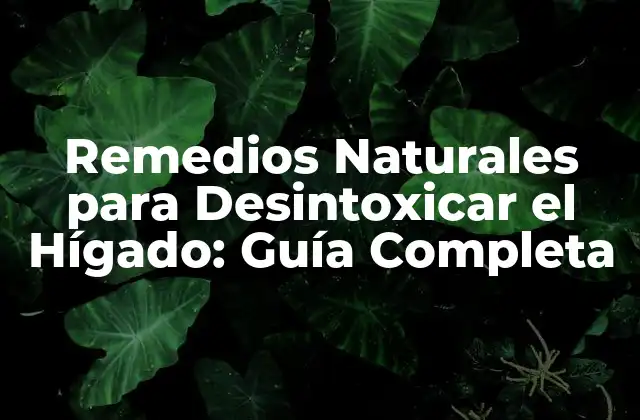 Remedios Naturales para Desintoxicar el Hígado: Guía Completa 2 ¿Por qué es Importante Desintoxicar el Hígado?