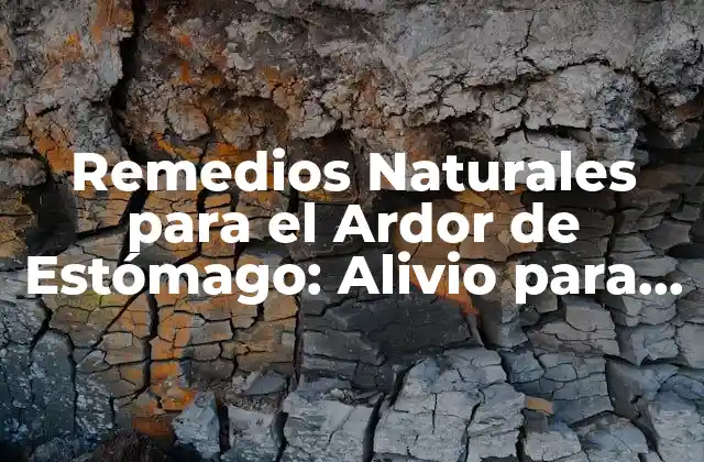Remedios Naturales para el Ardor de Estómago: Alivio para Tu Estómago