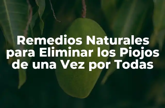 Remedios Naturales para Eliminar los Piojos de una Vez por Todas