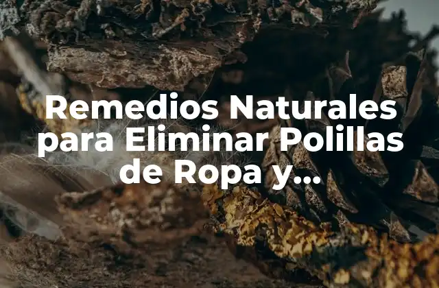 Remedios Naturales para Eliminar Polillas de Ropa y Almacenamiento