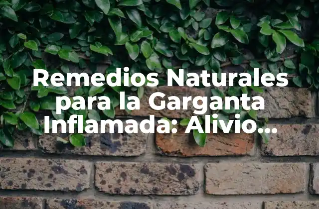 Remedios Naturales para la Garganta Inflamada: Alivio Rápido y Efectivo