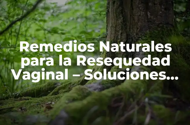 Remedios Naturales para la Resequedad Vaginal – Soluciones Efectivas