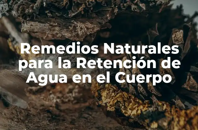 Remedios Naturales para la Retención de Agua en el Cuerpo