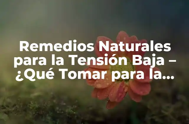Remedios Naturales para la Tensión Baja – ¿qué Tomar para la Tensión Baja?