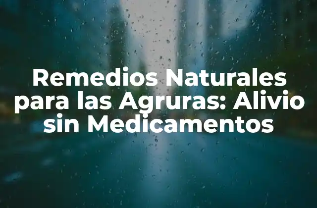 Remedios Naturales para las Agruras: Alivio sin Medicamentos