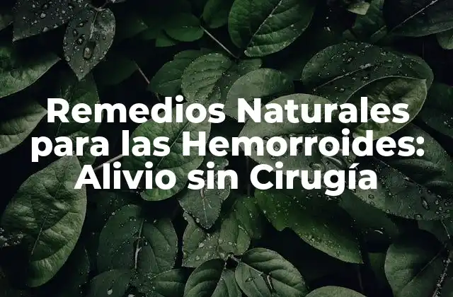 Remedios Naturales para las Hemorroides: Alivio sin Cirugía
