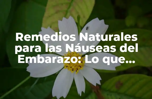 Remedios Naturales para las Náuseas Del Embarazo: Lo que Debes Saber