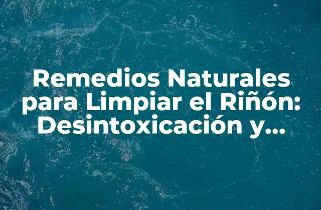 Remedios Naturales para Limpiar el Riñón: Desintoxicación y Salud Renal