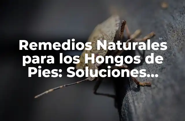 Remedios Naturales para los Hongos de Pies: Soluciones Efectivas 2 ¿Cuáles son las Causas de los Hongos de Pies?