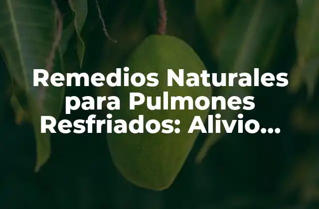 Remedios Naturales para Pulmones Resfriados: Alivio Inmediato y Efectivo