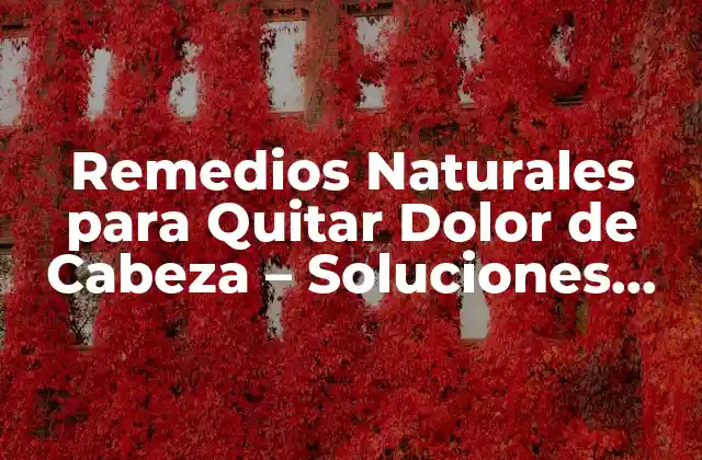 Remedios Naturales para Quitar Dolor de Cabeza - Soluciones Efectivas 2 Causas del Dolor de Cabeza