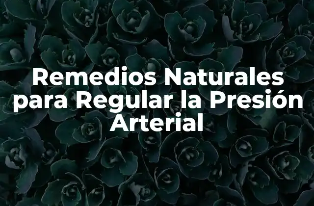 Remedios Naturales para Regular la Presión Arterial