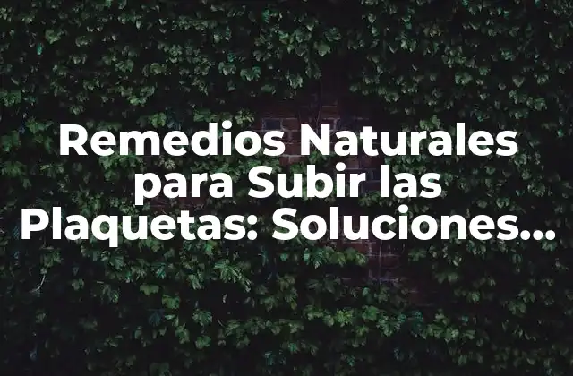 Remedios Naturales para Subir las Plaquetas: Soluciones Alternativas para una Salud Mejor