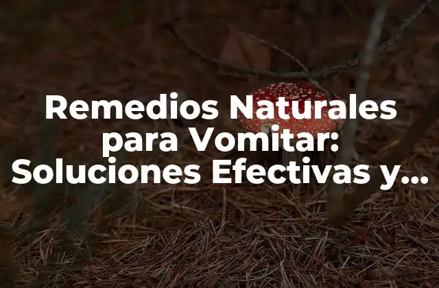 Remedios Naturales para Vomitar: Soluciones Efectivas y Seguras