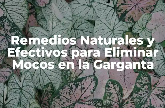 Remedios Naturales y Efectivos para Eliminar Mocos en la Garganta