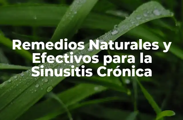 Remedios Naturales y Efectivos para la Sinusitis Crónica