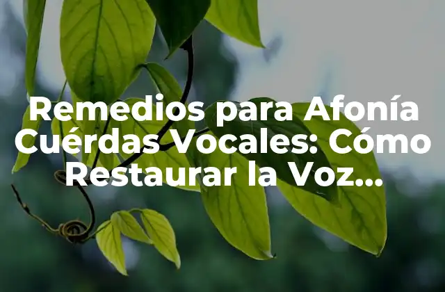 Remedios para Afonía Cuérdas Vocales: Cómo Restaurar la Voz Perdida