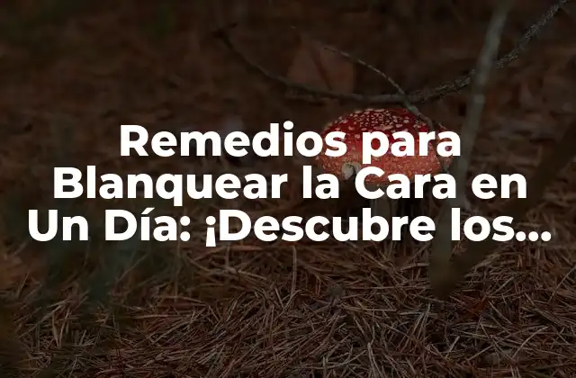 Remedios para Blanquear la Cara en un Día: ¡descubre los Secretos!