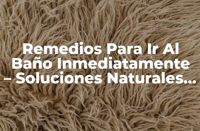 Remedios para Ir Al Baño Inmediatamente – Soluciones Naturales y Efectivas