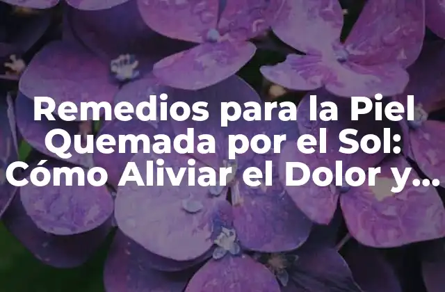 Remedios para la Piel Quemada por el Sol: Cómo Aliviar el Dolor y Prevenir Daños
